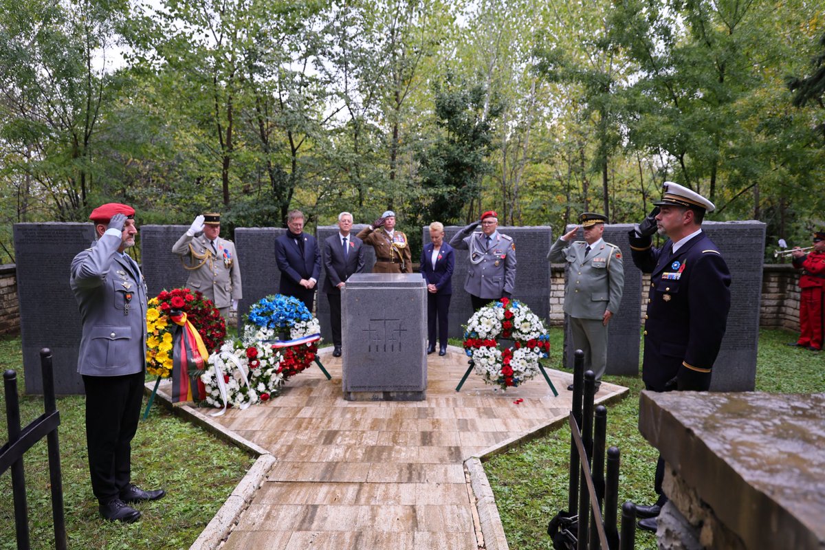 Megi Fino tweet media