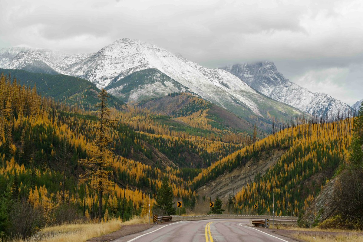 Along every road I travel in #Montana, I hear the same story. Families work harder but fall behind. Homes cost twice what they did six years ago, and rent keeps climbing. 

I'll fight for affordable housing, fair wages, and healthcare that keeps Montana families secure.