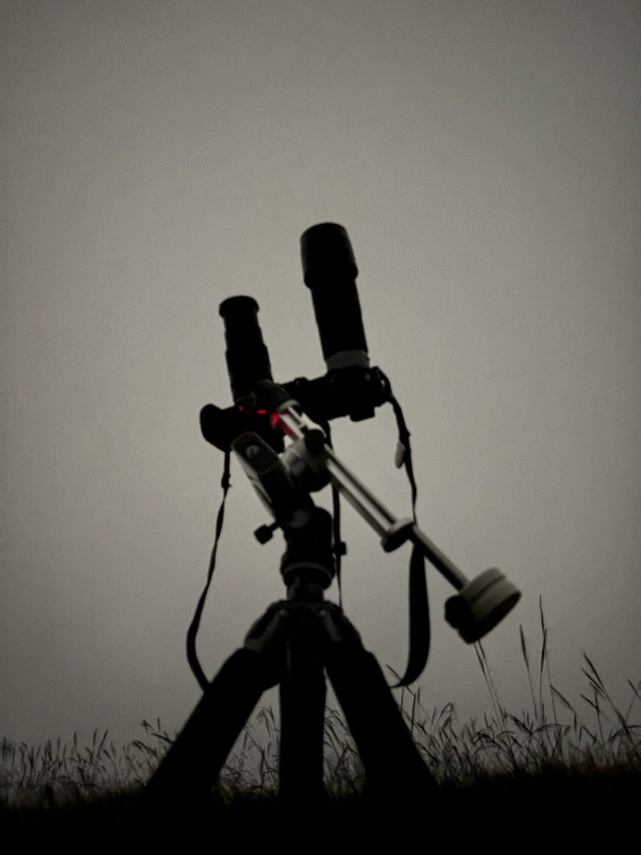 星のくまちゃん🐻 on X