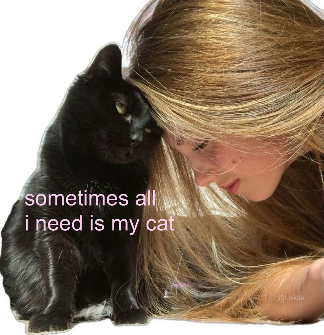 visualscat's tweet image. 