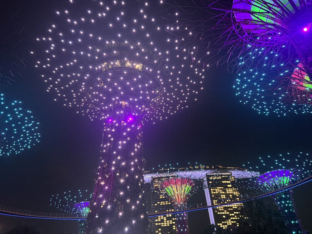 Intelligencv's tweet image. Gardens by the Bay Light Show