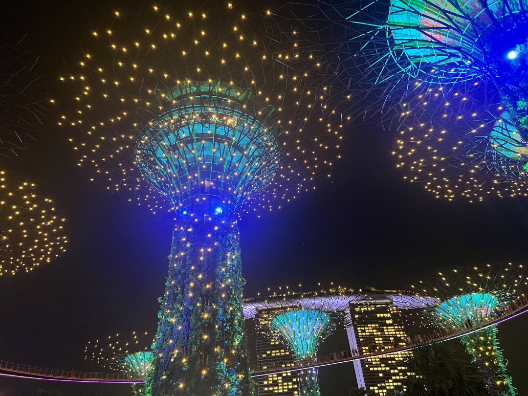 Intelligencv's tweet image. Gardens by the Bay Light Show