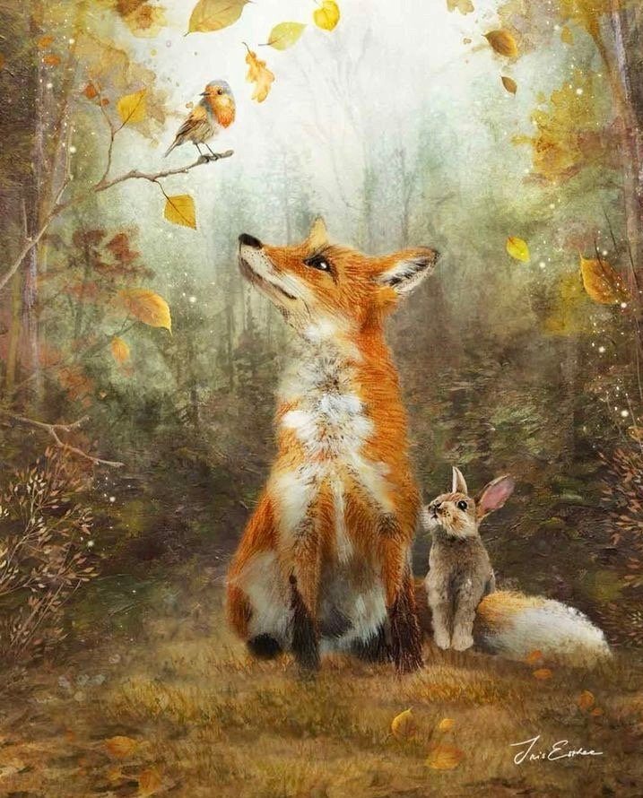 “How beautiful the leaves grow old. How full of light and color are their last days.”
- John Burroughs