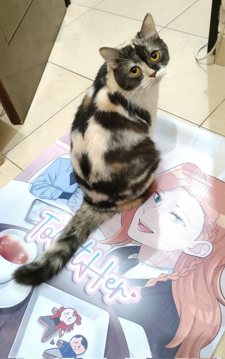 Chaa 🍵『CF21 || B-45a』 (@skeetcha_) / Posts / X