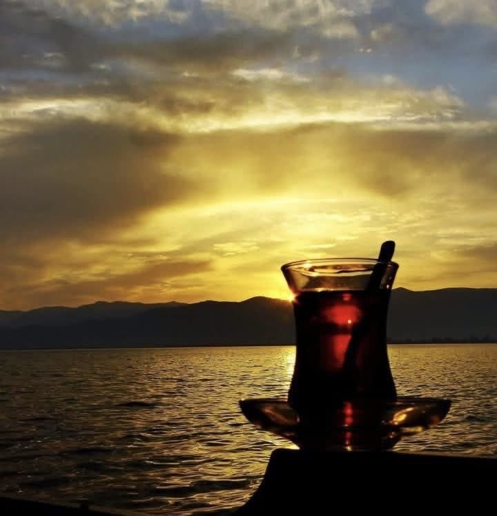 Hayatın demini alan mevsimdir Hazan 
Kimine su gibi kimine katran…!!!