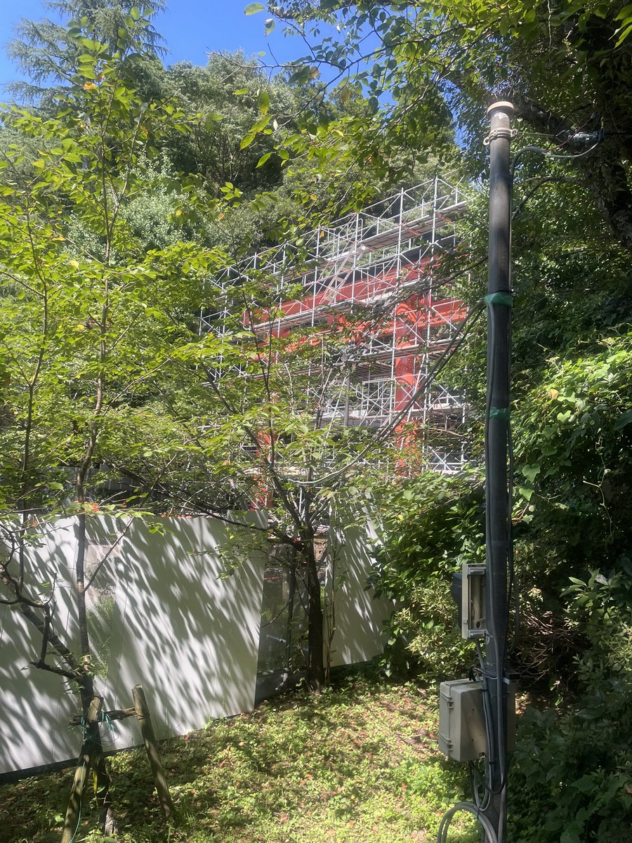 SageEnright's tweet image. The Japan zen aesthetic is 🔥