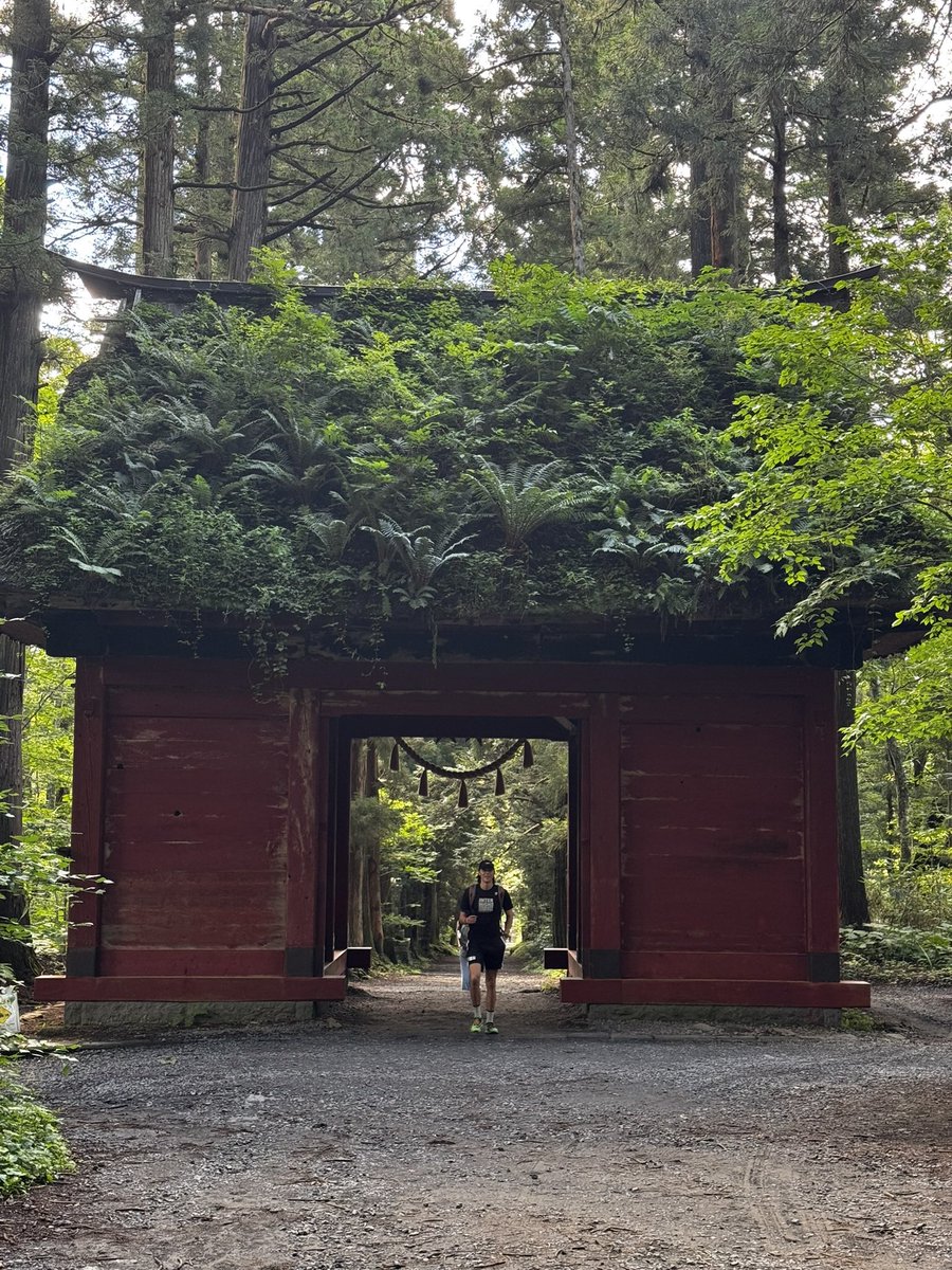 SageEnright's tweet image. The Japan zen aesthetic is 🔥