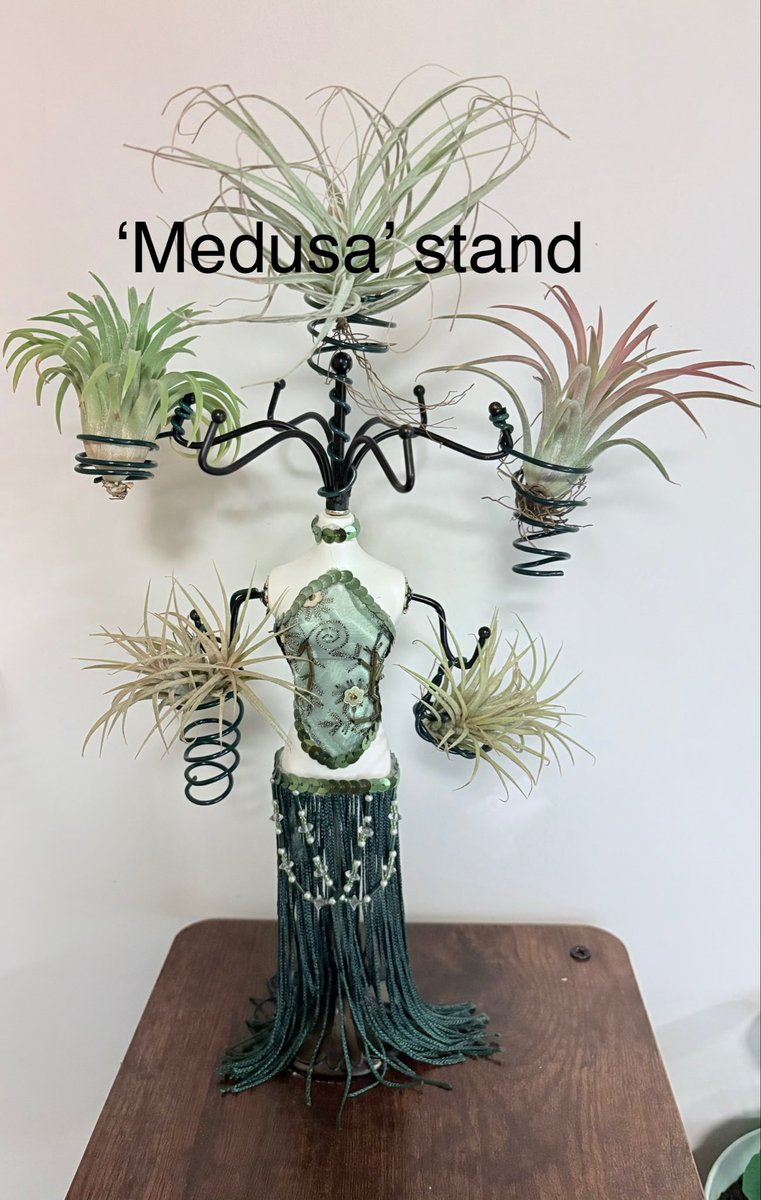 leannekeeley80's tweet photo. Creativity meets #Airplants 🤩 love up-cycling pre-loved treasures and giving #Tillandsia &amp; #succulents new homes #loveCrafting #CharityShopFinds ♻️ https://t.co/npb531nHFK