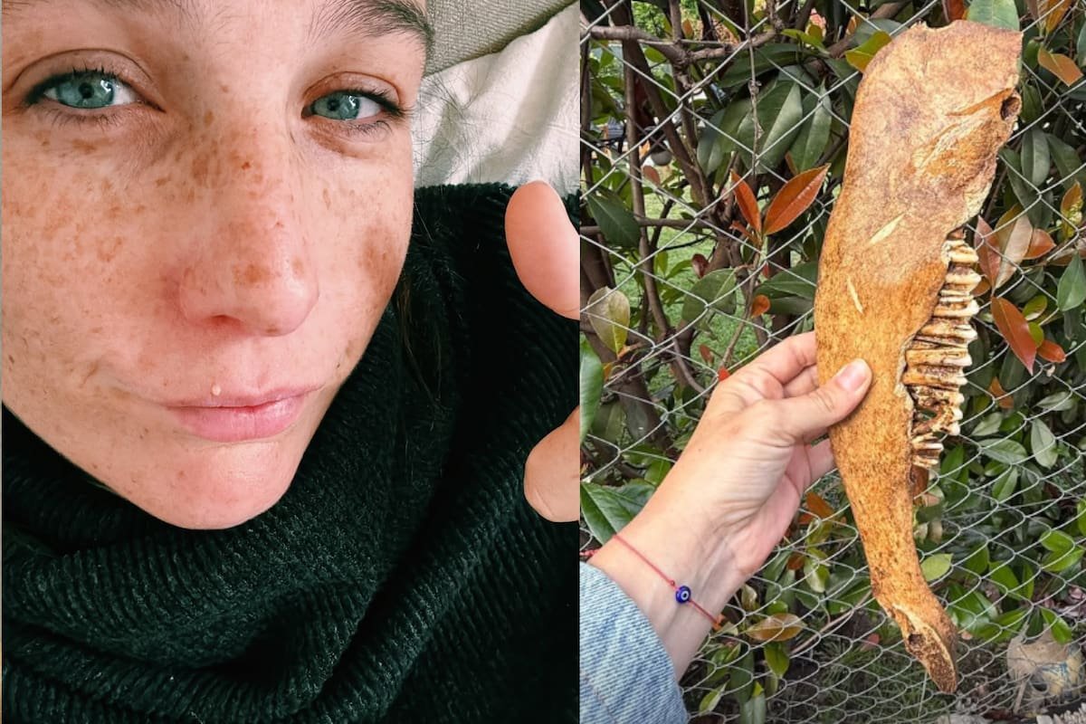 LA NACION tweet media