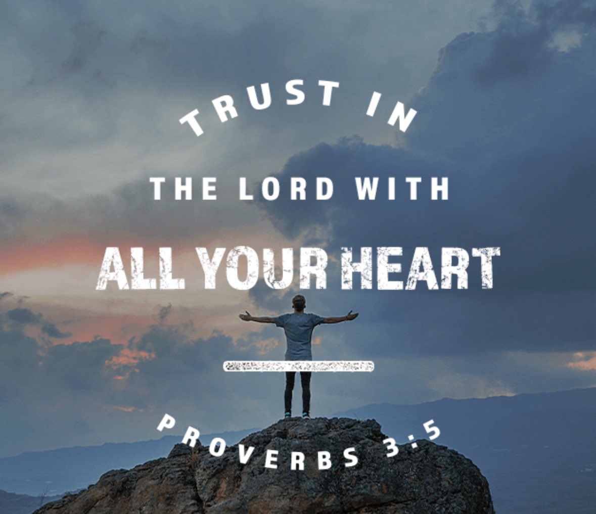 Brendan Sitar tweet media