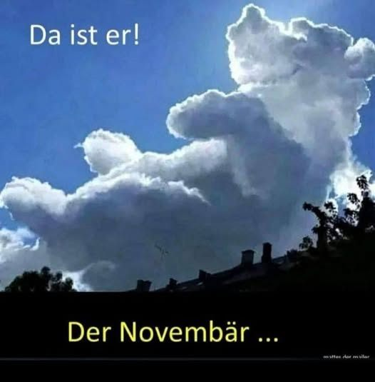 Christel Hanauer (@christelhanauer) on Twitter photo 