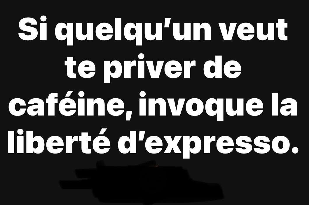 The Joconde 🐦 (@viedelajoconde) on Twitter photo 