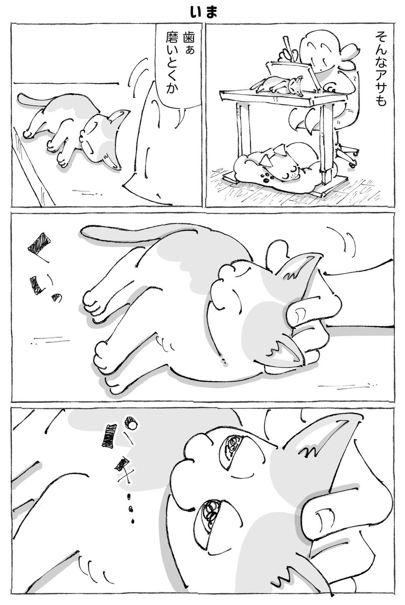 うちの犬のルカ。71【0/3】