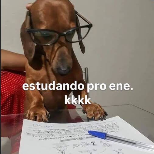 blondning's tweet image. indo la ver como é o enem