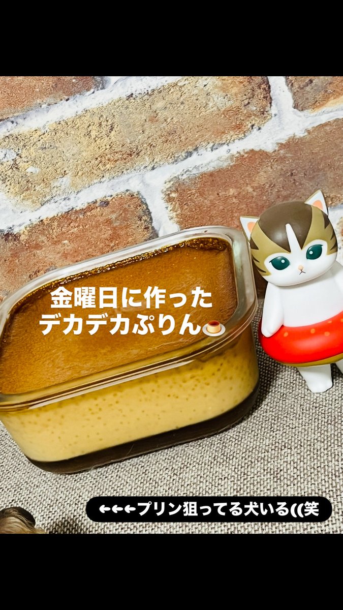 さら@LINEスタンプ販売中 (@xoxolmc3009) / Posts / X