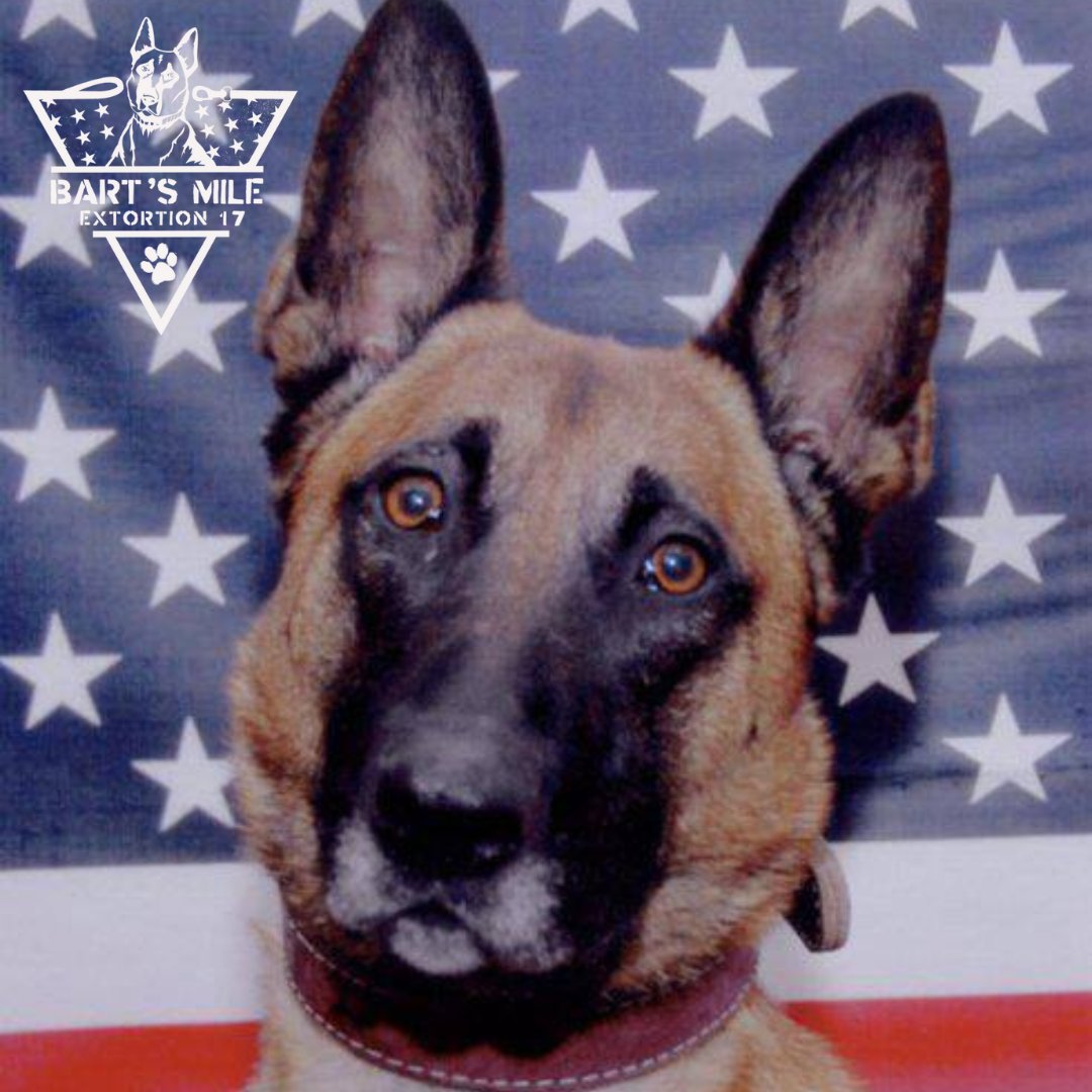 Meet Bart, a Belgian Malinois who served alongside our nation’s finest and gave everything. Bart was assigned to the elite Navy SEAL Team 6 and made the ultimate sacrifice on August 6, 2011. 
Join us for Bart’s Mile in his honor. 🐾 🎖️
classy.org/event/barts-mi…