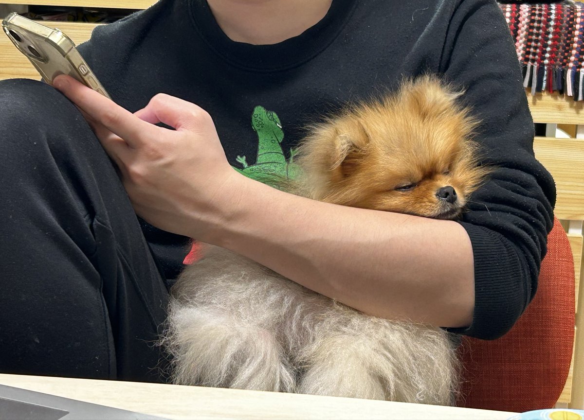 ころも (@pome_koromo) / Posts / X