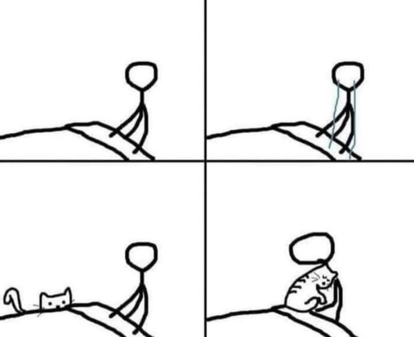 contents that ll heal your depression 🌻 (@catshealdeprsn) on Twitter photo 