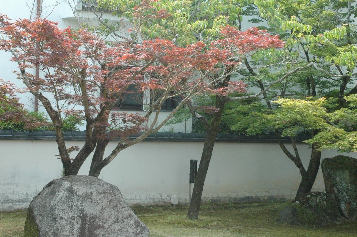 【あに佐賀@埋門の館】
11/30(日)9:30〜16:30

［撮影スポット］
『埋門の館(ｳｽﾞﾒﾓﾝﾉﾔｶﾀ)』

受付＆更衣室の埋門の館も
・大きな松の絵が描かれた能スペース
・黒松＆白壁のお庭
・茶室
・縁側
等、撮影映えスポット沢山📸
全館貸切ですので自由度高く撮影をお楽しみ頂けます😊
#あに佐賀