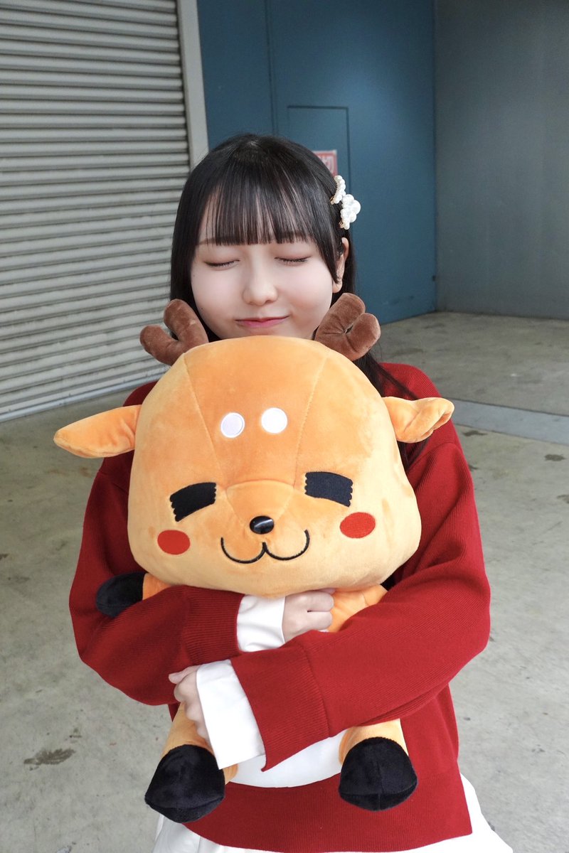 仲良しキャンディ♡着ぐるみくま&ひよこ よいち on X