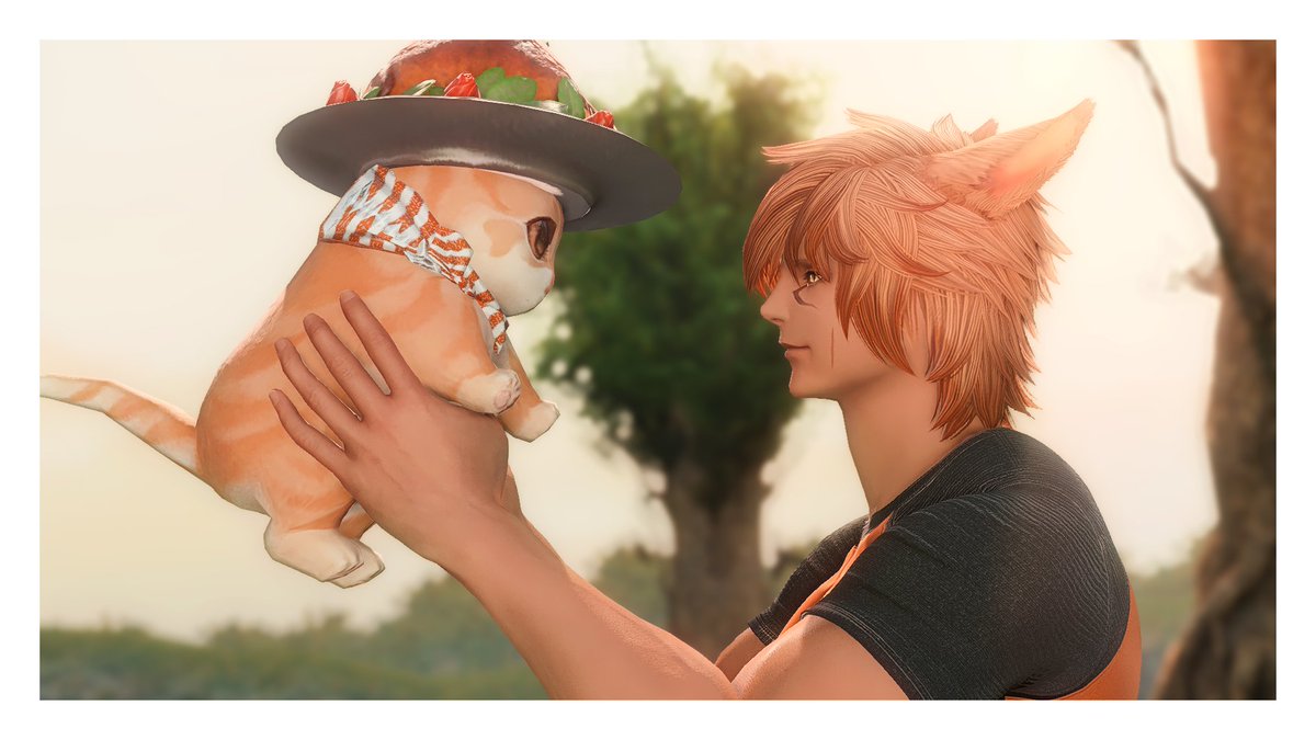 Turlybear's tweet image. "Someone called me 'Turkey', so I became a turkey" 🍗