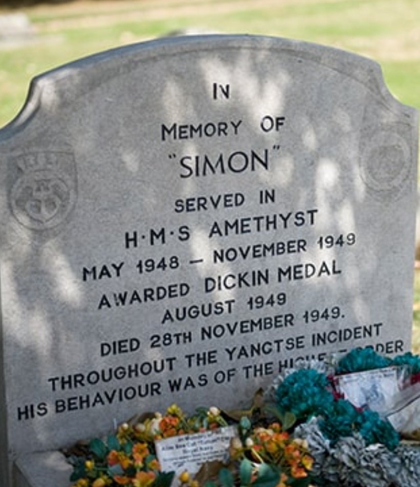 <a href="/Number10cat/">Larry the Cat</a> What a hero 🐈‍⬛♥️