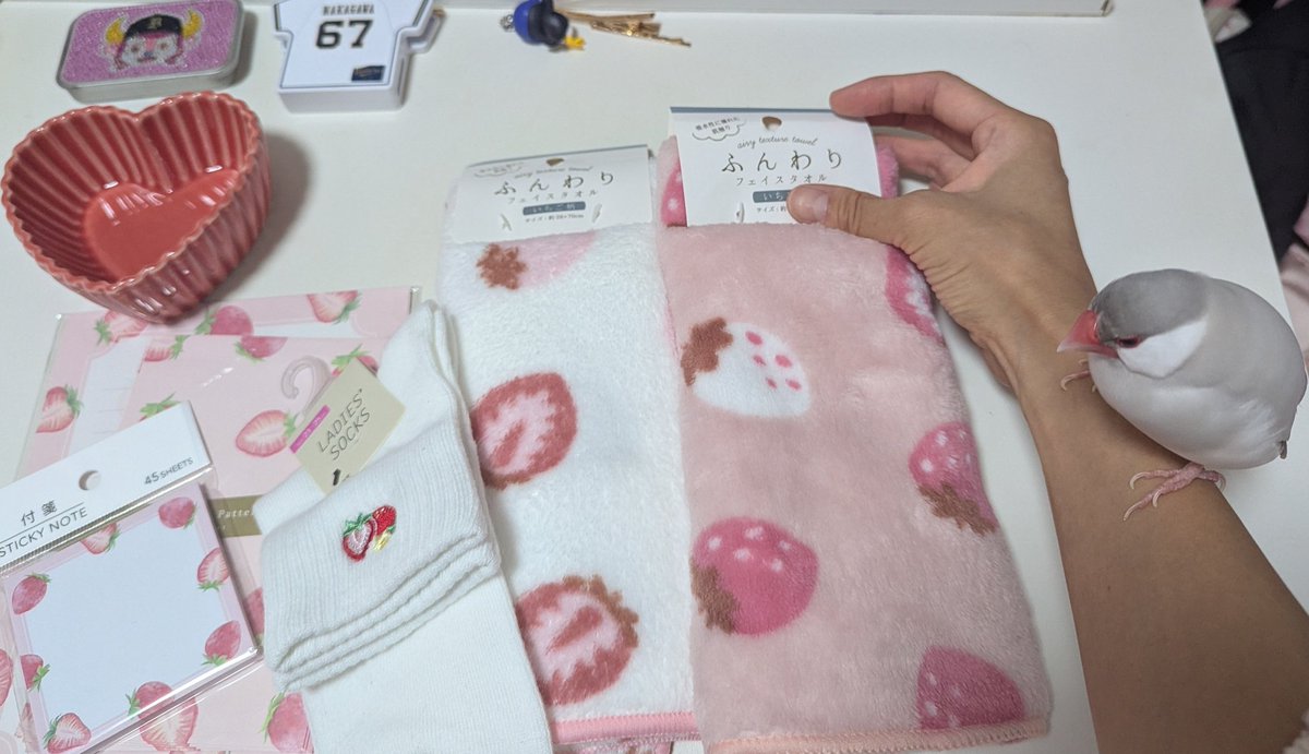 🍍benio～もみじちゃんと友達になりたい on X