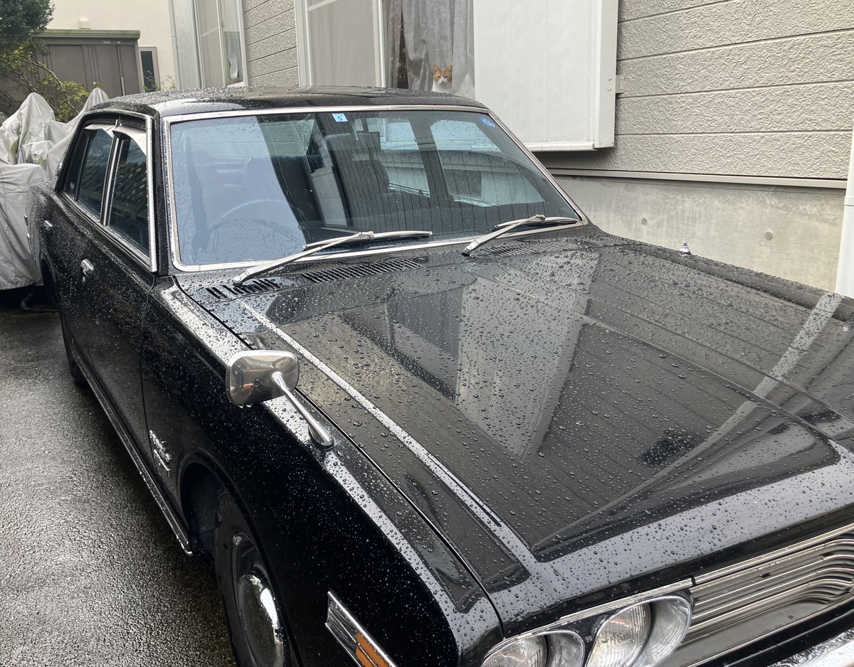 チロルあんず (@Chiro_4_pura_4) / Posts / X