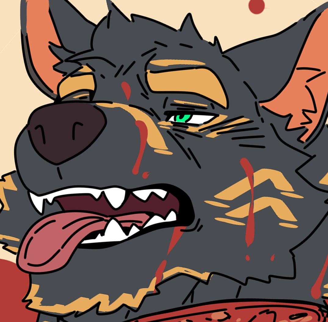 STAN🔜 関西けも11 tweet media