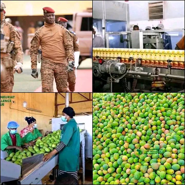 AfricanHub_'s tweet image. Burkina Faso news just confirmed that for over 14 months now, the country has not for ones imports Natural juice. Since the reopening of DAFANI COMPANY, The country now produce one of the best natural juice especially from (MANGO) cultivated in the country.

The 37yr old Military…