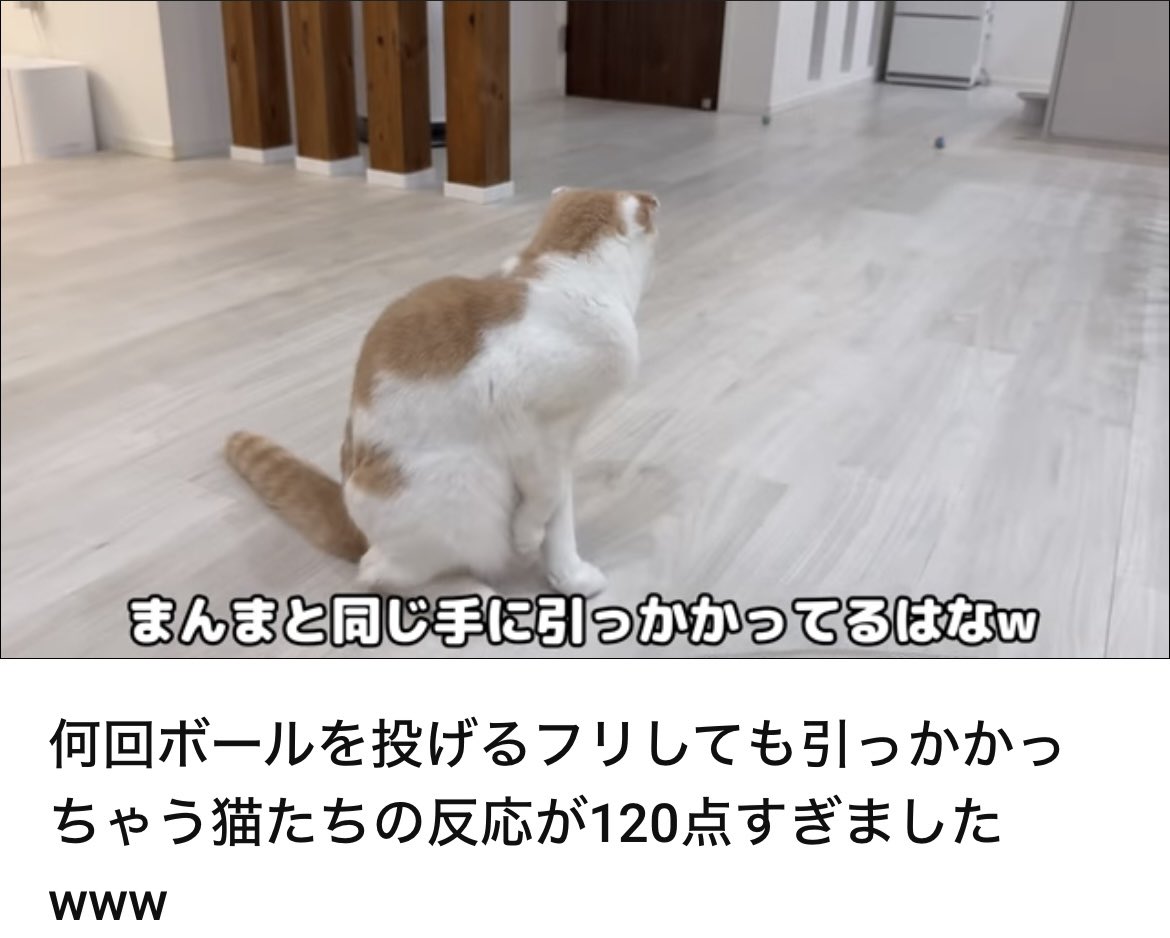 もちまる日記 - Search / X