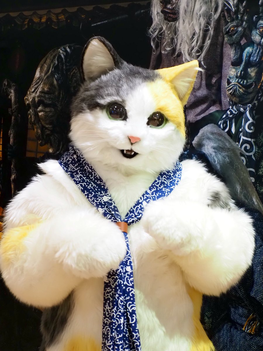 にゃんこ父さん 🦊つ【ﾊﾟｼｬﾉ父】 on X