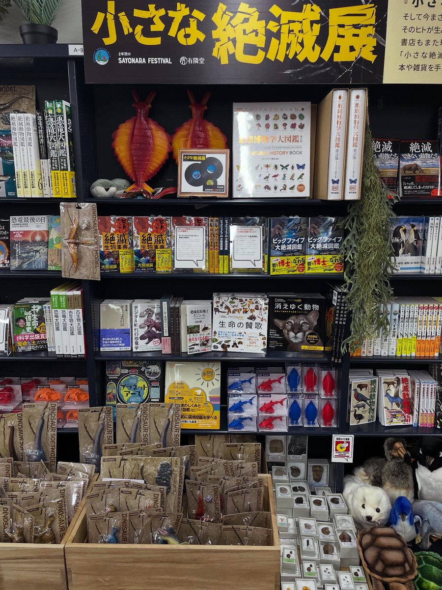 yurindo_fujisaw's tweet photo. 【小さな絶滅展】
2階の展示
SideA
生物学的絶滅
SideB
文化風習的絶滅
もうご覧になりました?
失われたもの、
失われゆくものへの
眼差しを感じて
絶滅したものは
蘇らないけれど
未来は白紙です
一お別れだけど
終わりじゃないのです一
#有隣堂藤沢店
#SAYONARAFESTIVAL
#フジサワ名店ビル https://t.co/jn4gV2RmJ9