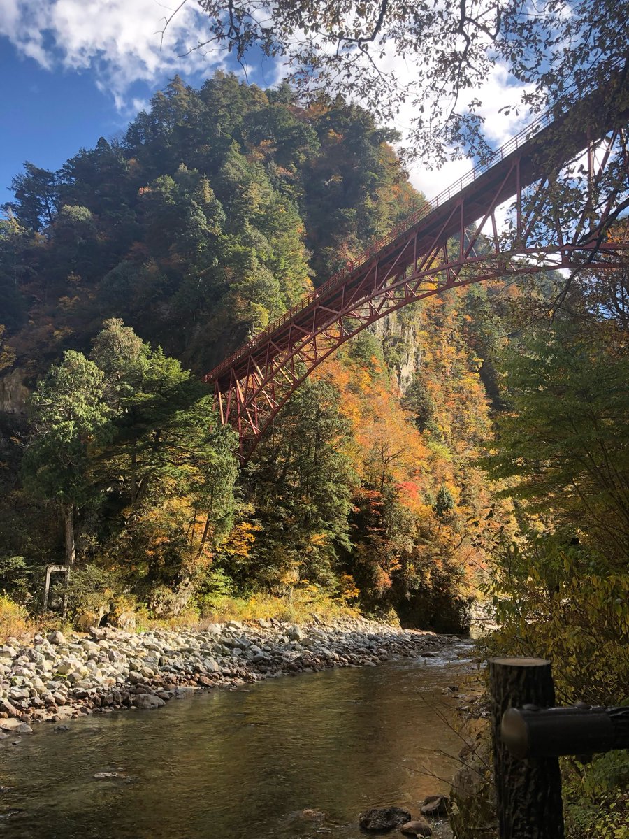 蓮花@プロフも見てくださいページ 東京・大阪・奈良 持ち込み可】プロポーズブーケ＆アフターブーケ Set