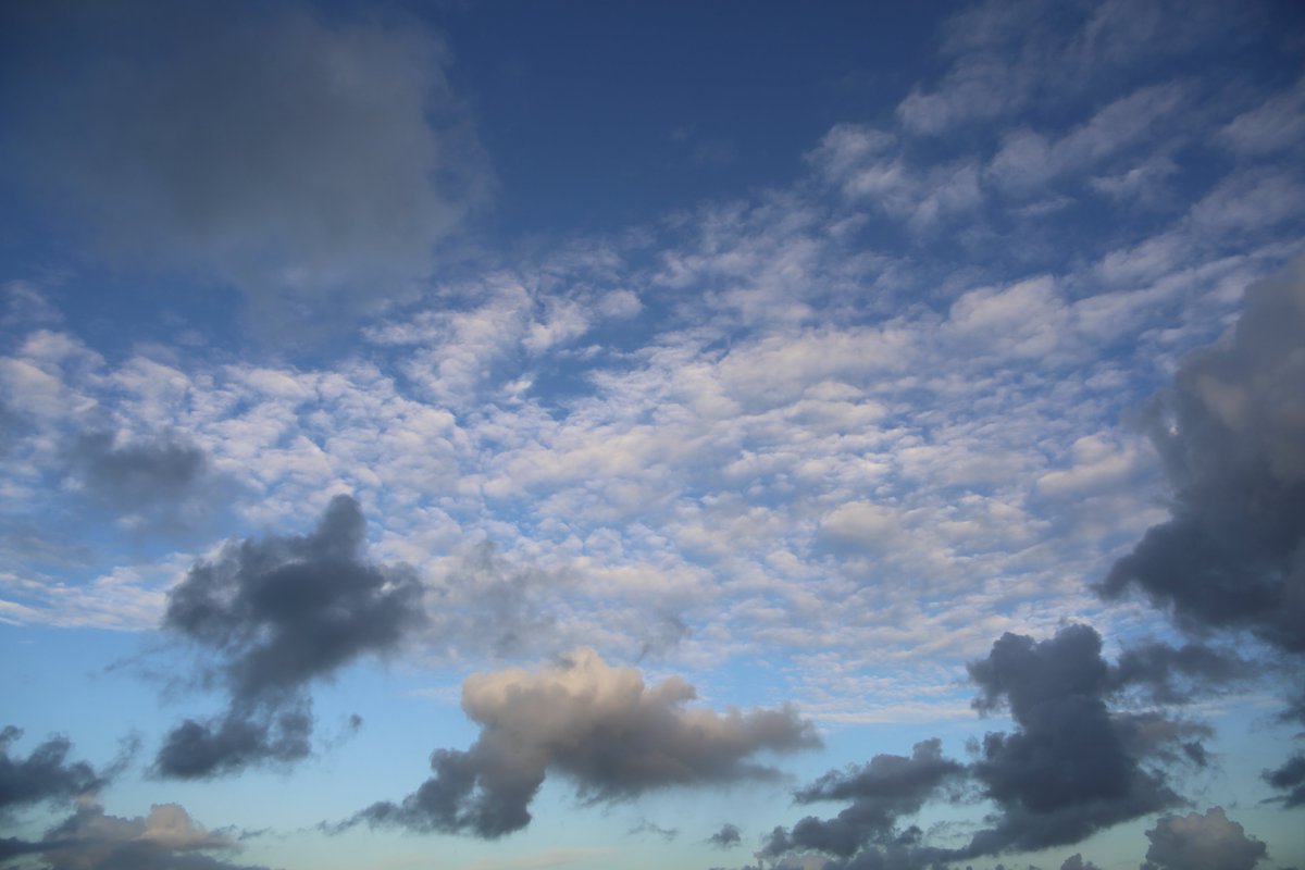 DrDFoster's tweet image. yesterday