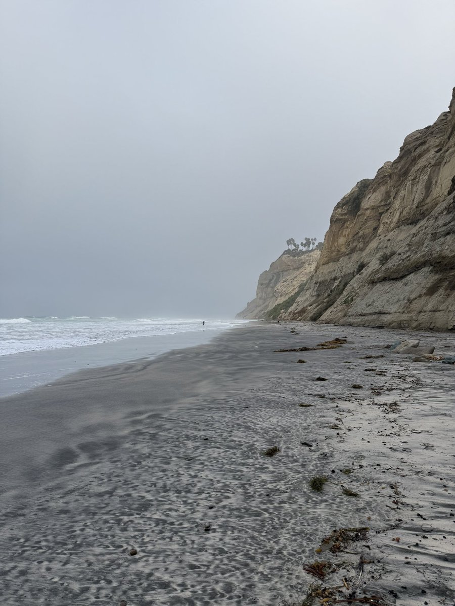 ZhuoerXie's tweet image. Traveling from EST → PST comes with a gift: 3 extra hours to walk the quiet San Diego shore, feel the ocean breeze, and reconnect with nature before the day begins. 🌊 #WorkLifeIntegration