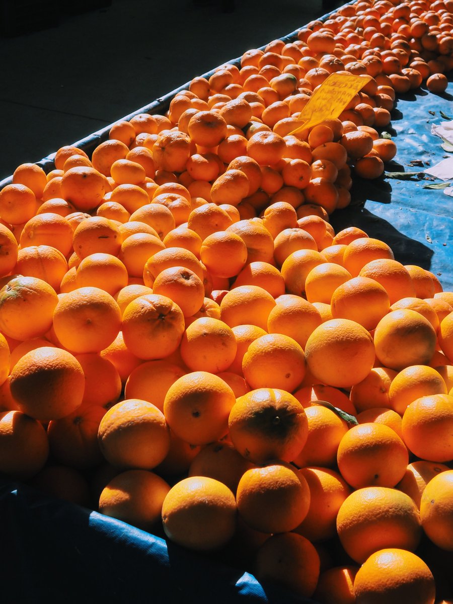 gorkemksr's tweet image. Daily life in Datça,Turkiye 
8 november 2025 #streetphotography #datça