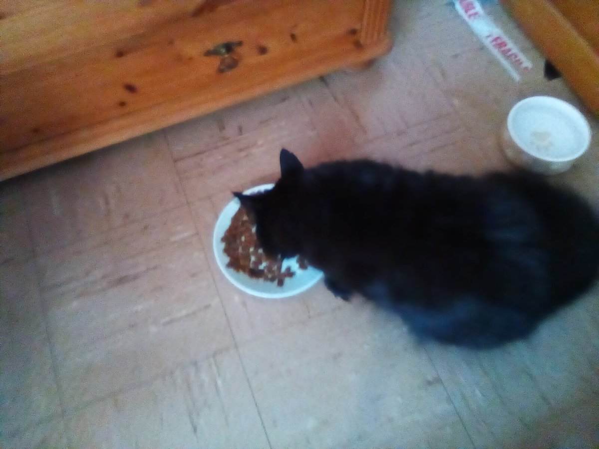 laura watts-fleming in memory of Gabi , Gem🌈 tweet media