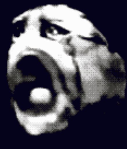 𝙓𝙑 𝗶 tweet media