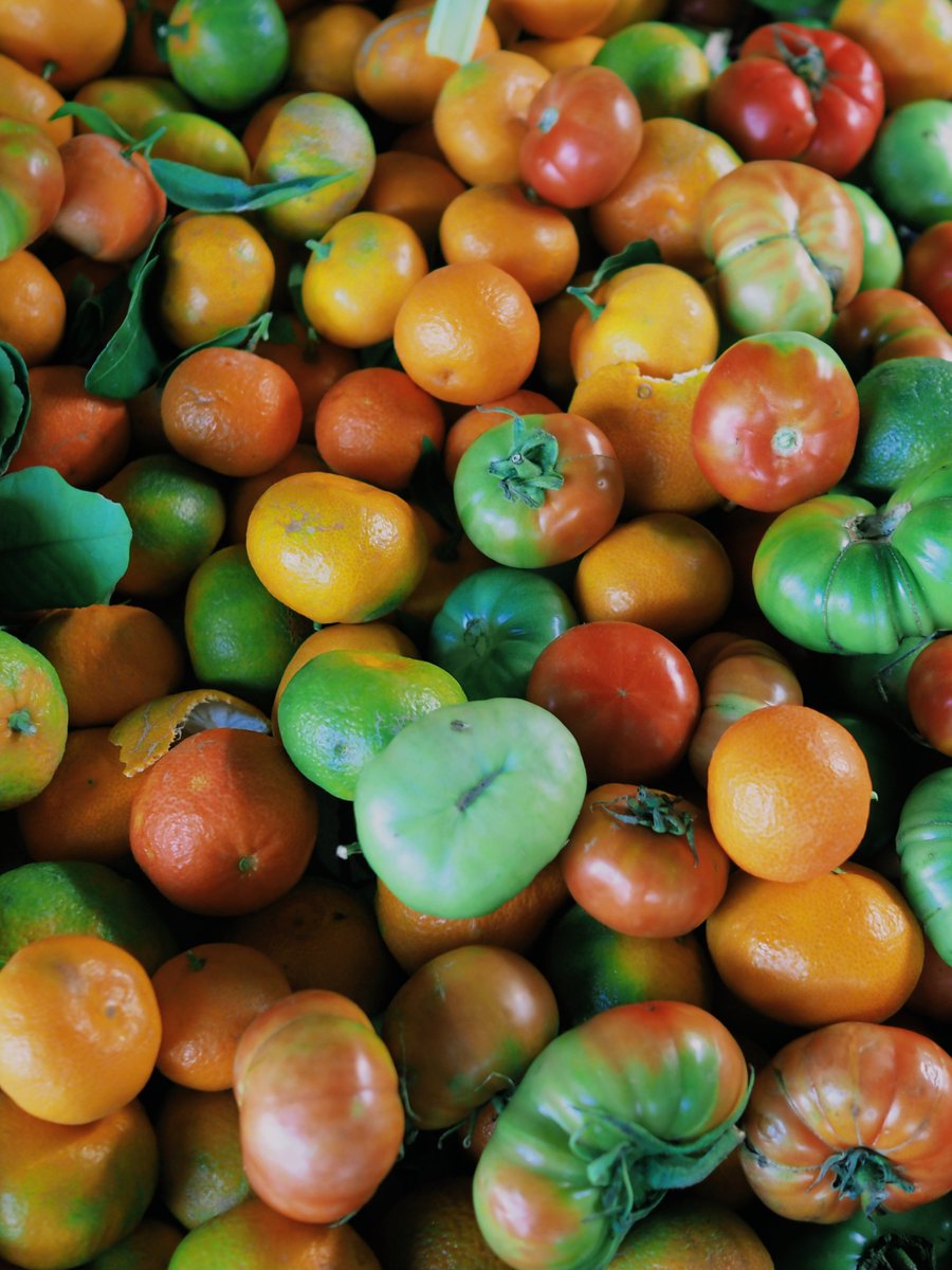 gorkemksr's tweet image. Daily life in Datça,Turkiye 
8 november 2025 #streetphotography #datça