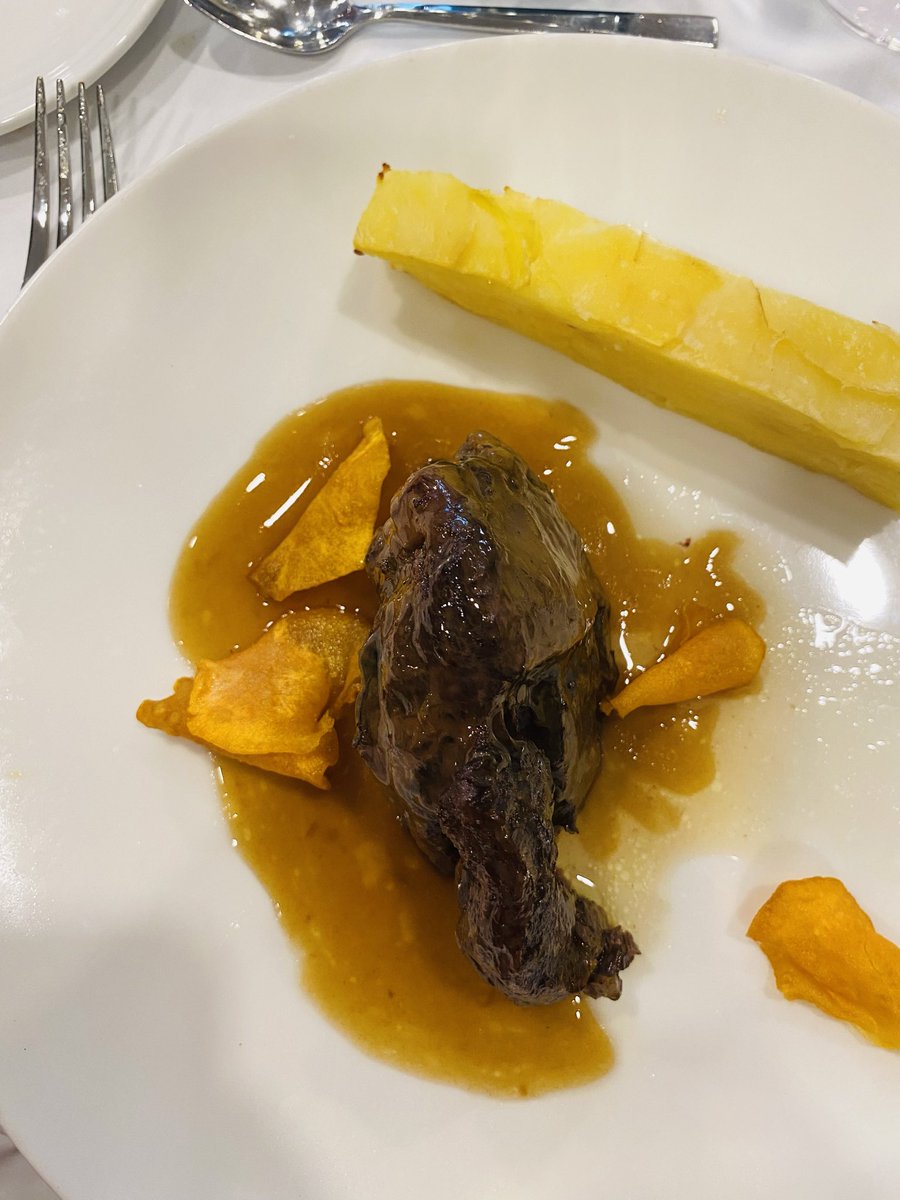 Visita a la bodega del Castell del Remei. Bon vi i bonica història! 🍷🍇