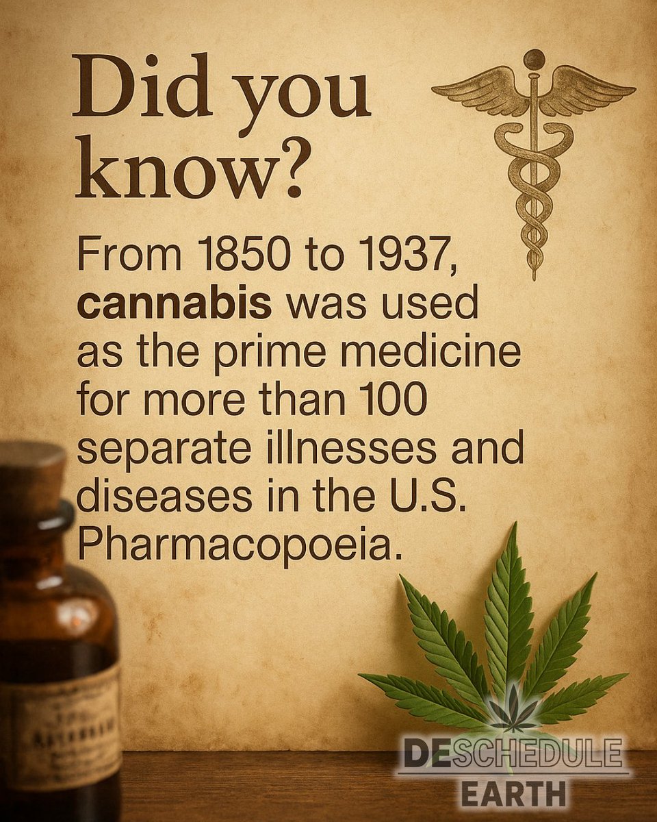 For nearly a century, cannabis was a trusted remedy right here in our country. Outdated laws took it off the shelf, but we can put it back. Restoring cannabis's true place means more than medicine; it creates jobs, supports small growers, and offers real choices for communities.