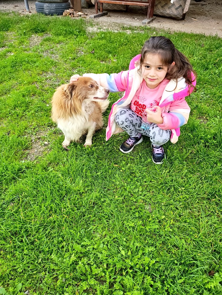 Fındık Asel aşkı iki masum can 🫶
#iyipazarlar 
#Haftasonu