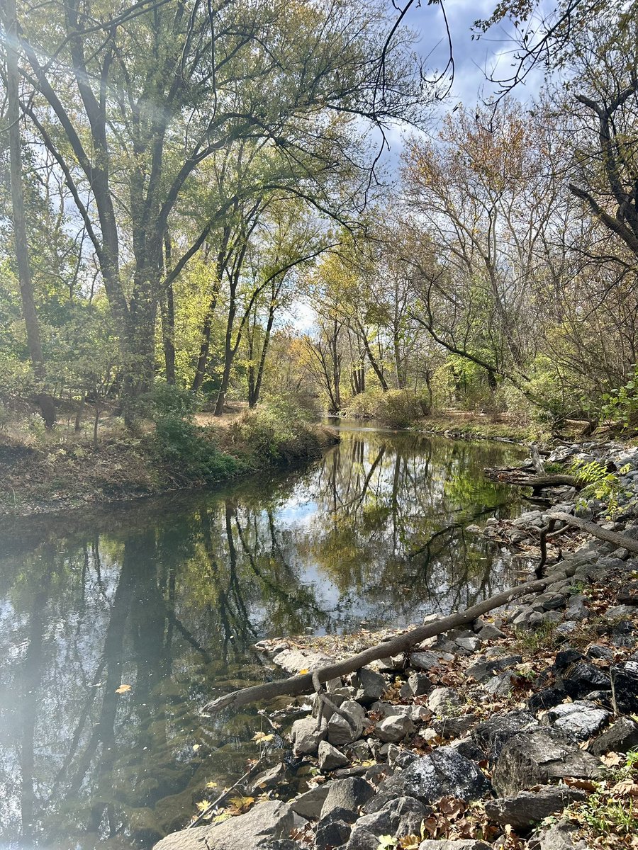 Essau1969's tweet image. #SundayFunday 2nd to last #Foray of the season today #Forage 🍄‍🟫#Hike 🥾 LFG!!!!!!!!!!! 💫