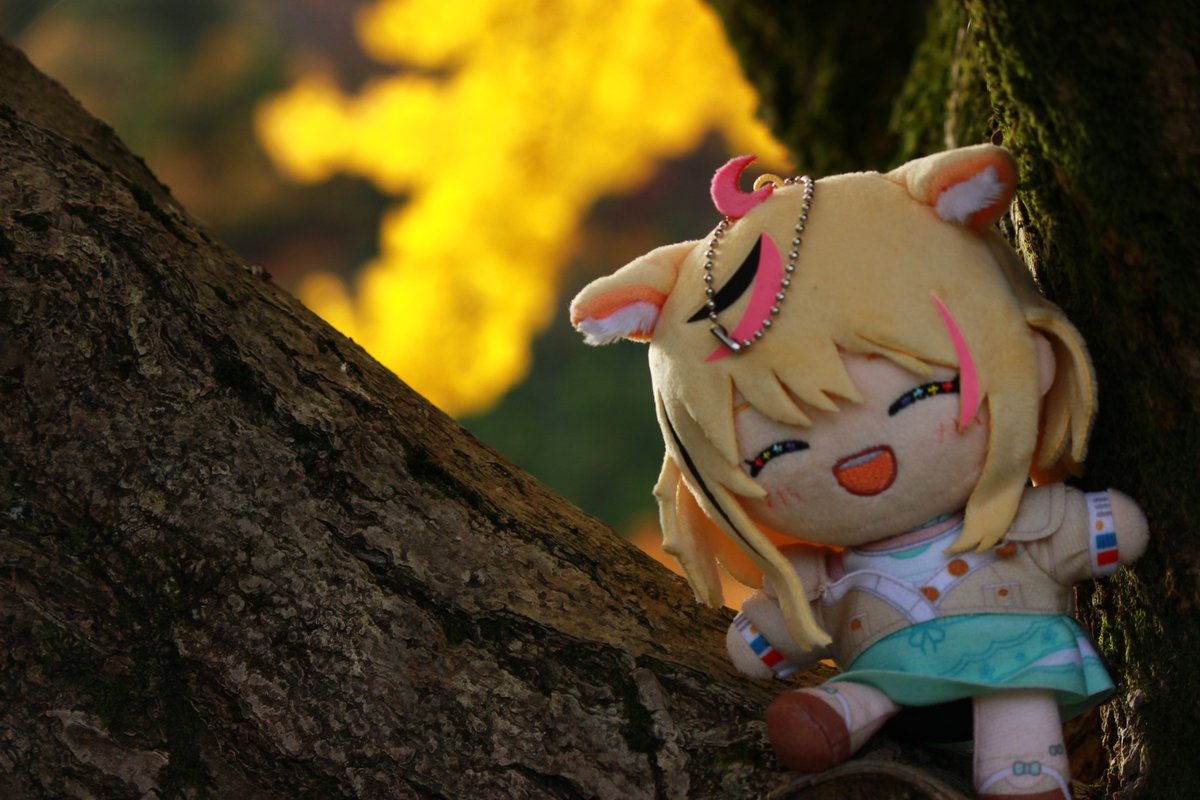 43 48(ﾖﾝｻﾝﾖﾝﾊﾁ)@ラブミ！良！！ (@hiziry_0000) / Posts / X