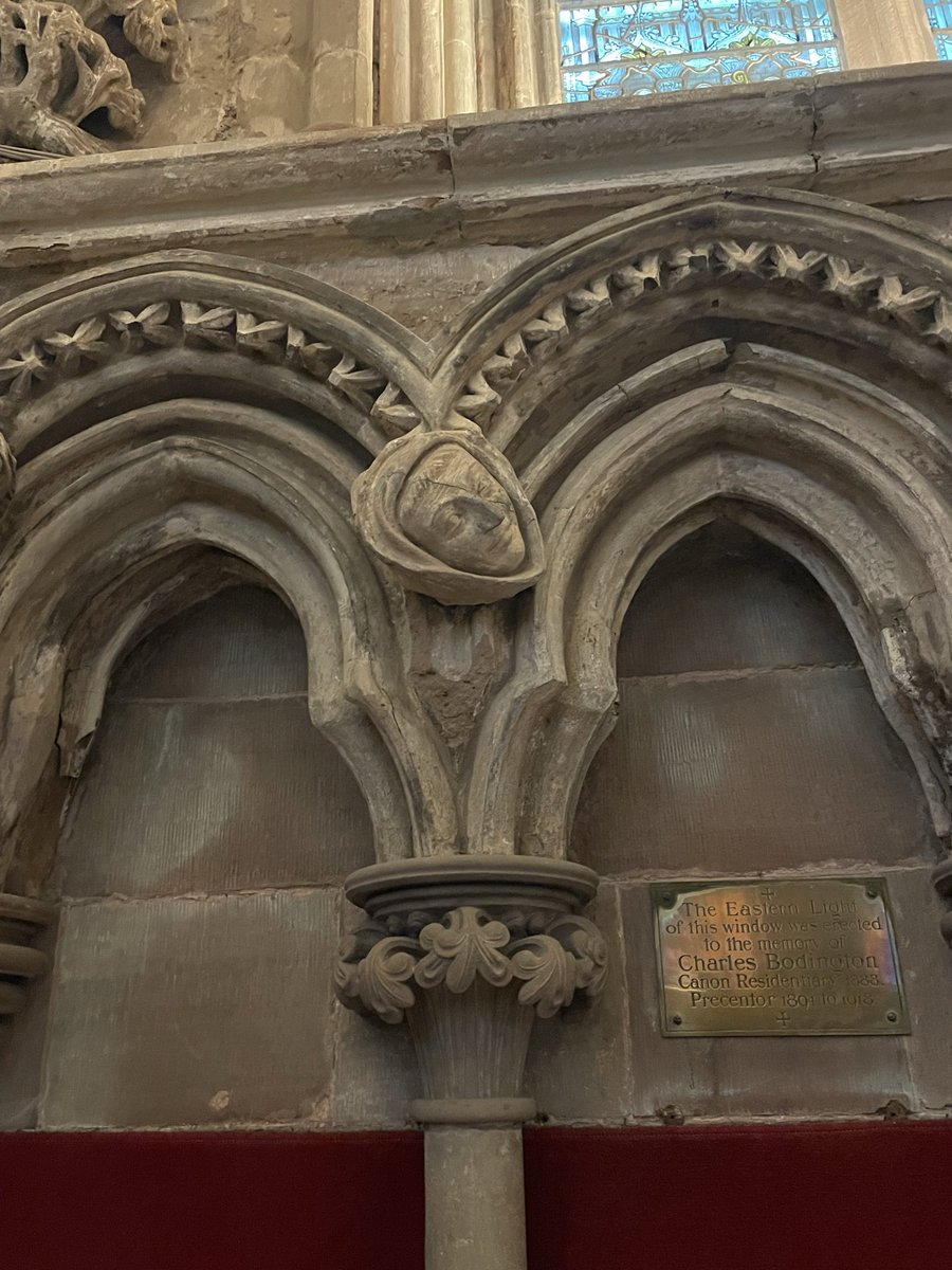 A medieval head on the chapter house arcade Lichfield cathedral, 13thc. This animated chap is obviously a portrait, he alone turns his head to one side to observe his neighbours