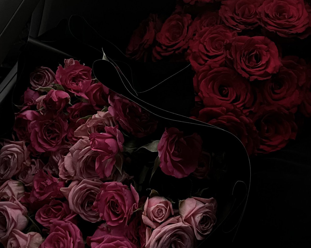 nnouuffe's tweet image. —— RANDOMS ——