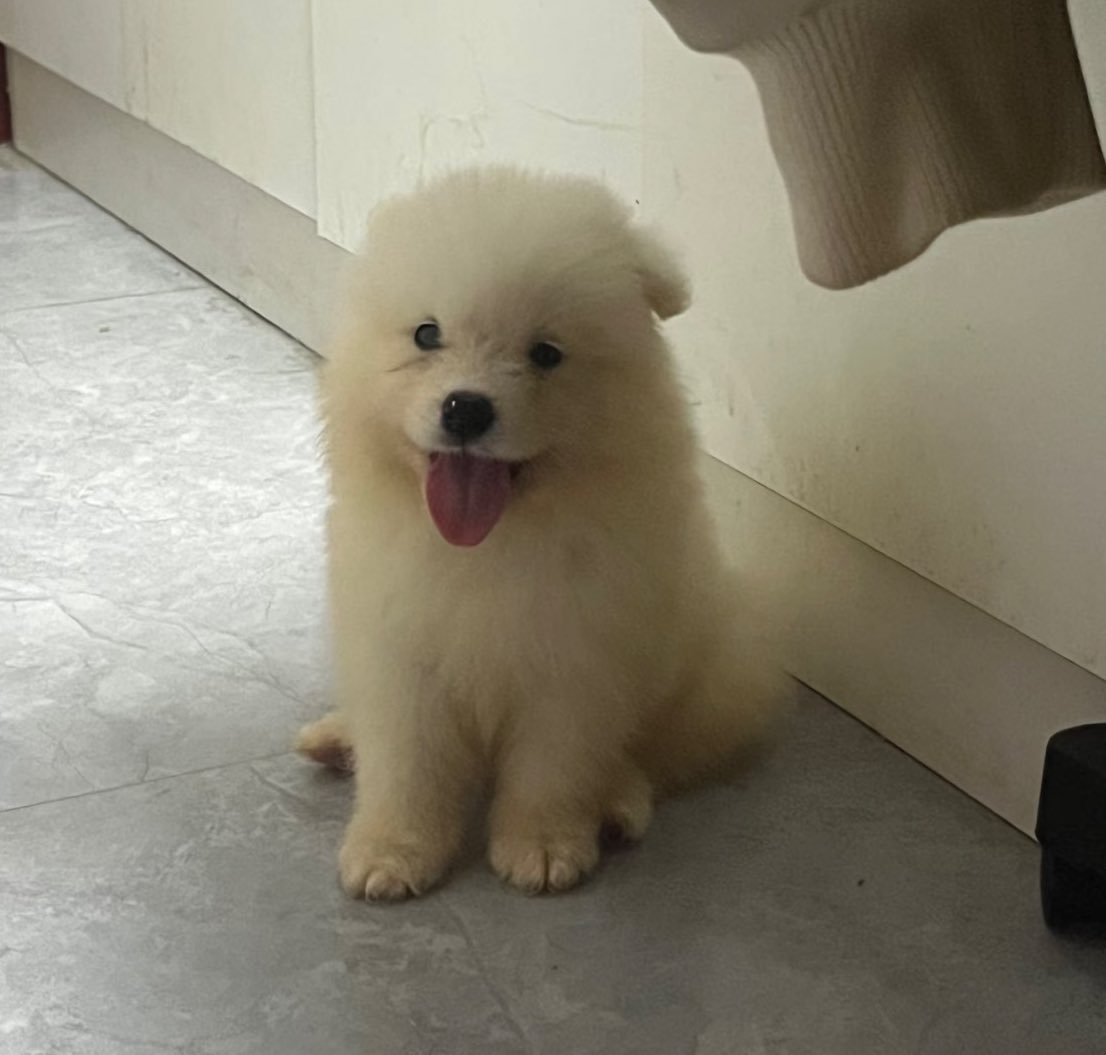 dogonboo's tweet photo. เป้นเด้กดีของคุน คับปม https://t.co/ocVkSNroHt