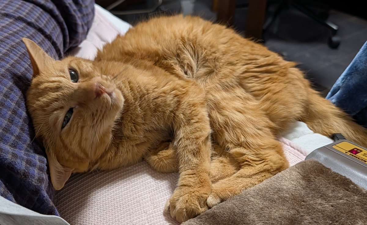 ｽﾘｽﾘｺﾞﾛｺﾞﾛ～