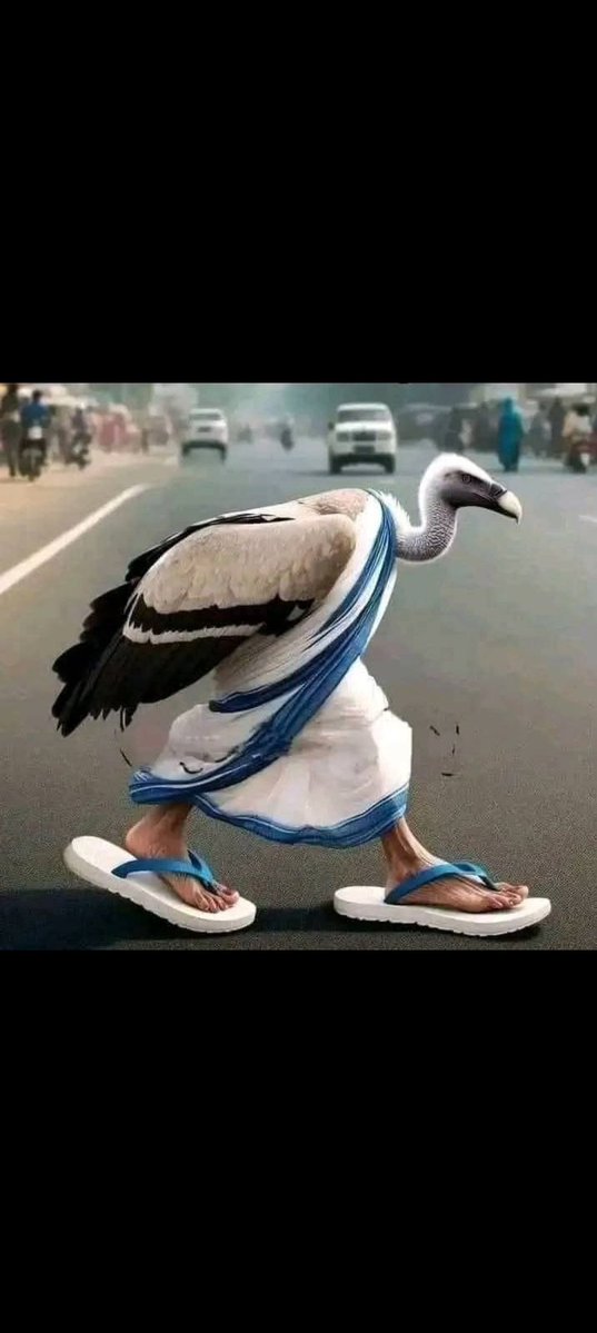 <a href="/Harisha11600034/">🌷 मंगल पाण्डेय 🌷</a> <a href="/y_tanawala/">HINDU TANAWALA YOGESH</a> <a href="/SushilaMehta123/">Sushila Mehta</a> <a href="/CSRamRam1/">Chandra Shekhar Tripathi मोदी का परिवार</a> <a href="/KING863059/">💥 दिल्ली वाले के दूर के चिचा(मोदी जी का परिवार)💥</a> <a href="/Ravikan32754301/">Ravikant Singh</a> <a href="/vibhasr21564907/">Akhilesh Sri7</a> <a href="/ShriPrakashAw14/">श्रीप्रकाश अवस्थी🇮🇳</a> <a href="/Bittu2590/">🚩HINDU BITTU SHARMA🚩</a> <a href="/SureshA74732559/">🚩SKGoyal (मोदीजी का परिवार)</a> <a href="/Santosh0225_/">Chowkidar S G</a> <a href="/Ravigayawala/">Shri Ravi Shankar</a> <a href="/AdityaJanmejay/">🚩हिंदू आदित्य जन्मेजय🚩</a> <a href="/HindPratham250/">🚩 हिन्द प्रथम 🚩</a> <a href="/AnilKum41730783/">Dashrath Putra RAM. ( हिंदू )</a> <a href="/Pawankhera/">Pawan Khera 🇮🇳</a> <a href="/GoelToshi/">Toshi Goel</a> <a href="/Great_Indix/">Shiva</a> <a href="/Dhanesh52299862/">Dhanesh Singh</a> <a href="/1_raktbeej/">🩸रक्तबीज🩸</a> <a href="/ChelatSivadas/">Enjoy Life</a> <a href="/Vijaybh65583846/">Vijay Singh Kanpur 🇮🇳</a> <a href="/Rabindr04447047/">Rabeendra Singh</a> <a href="/AmitLeliSlayer/">Boiled Anda</a> <a href="/angryladki/">ANGRY BIRD 💎 (Modi का परिवार)</a> <a href="/CBShukla3/">C. B. Shukla</a> <a href="/ocjain4/">Ocean Jain</a> <a href="/narpat_rat18280/">ठाकुर साहब</a> <a href="/Drsunandambal/">Dr Sunanda Bal🇮🇳</a> <a href="/SarojSpeaks/">सरोज मिश्रा 🕉️</a> <a href="/ShobhaShalinee/">#हर घर तिरंगा, घर घर तिरंगा #मोदी_परिवार</a> <a href="/AkKhanna61/">Anill Khanna 🇮🇳</a> <a href="/RakeshRastogi10/">Rakesh Rastogi</a> <a href="/deepak64joshi/">Deepak Joshi</a> <a href="/RajRoyallepage/">Raj Sharma</a> <a href="/_ensine/">🇮🇳 Ensine</a> <a href="/Sanjuve2024/">Sanju Verma 🇮🇳 BJP 🇮🇳 {Modi Ka Parivar}</a> <a href="/priyankagandhi/">Priyanka Gandhi Vadra</a> <a href="/budbukbum/">NotAbot</a> <a href="/vishalvhai/">MOKCHH</a> SIR के नाम से ही दीदी की धोती पीली और टोंटीचोर का शीघ्रपतन हो रहा है😂 <a href="/AITCofficial/">All India Trinamool Congress</a> <a href="/yadavakhilesh/">Akhilesh Yadav</a> <a href="/MamataOfficial/">Mamata Banerjee</a> <a href="/mediacellsp/">Samajwadi Party Media Cell</a> <a href="/derekobrienmp/">Derek O'Brien | ডেরেক ও'ব্রায়েন</a> <a href="/rituparnasarm10/">rituparna bharat sarma</a> <a href="/SuvenduWB/">Suvendu Adhikari</a> <a href="/BJP4Bengal/">BJP West Bengal</a> <a href="/1_raktbeej/">🩸रक्तबीज🩸</a> <a href="/abhishekaitc/">Abhishek Banerjee</a>